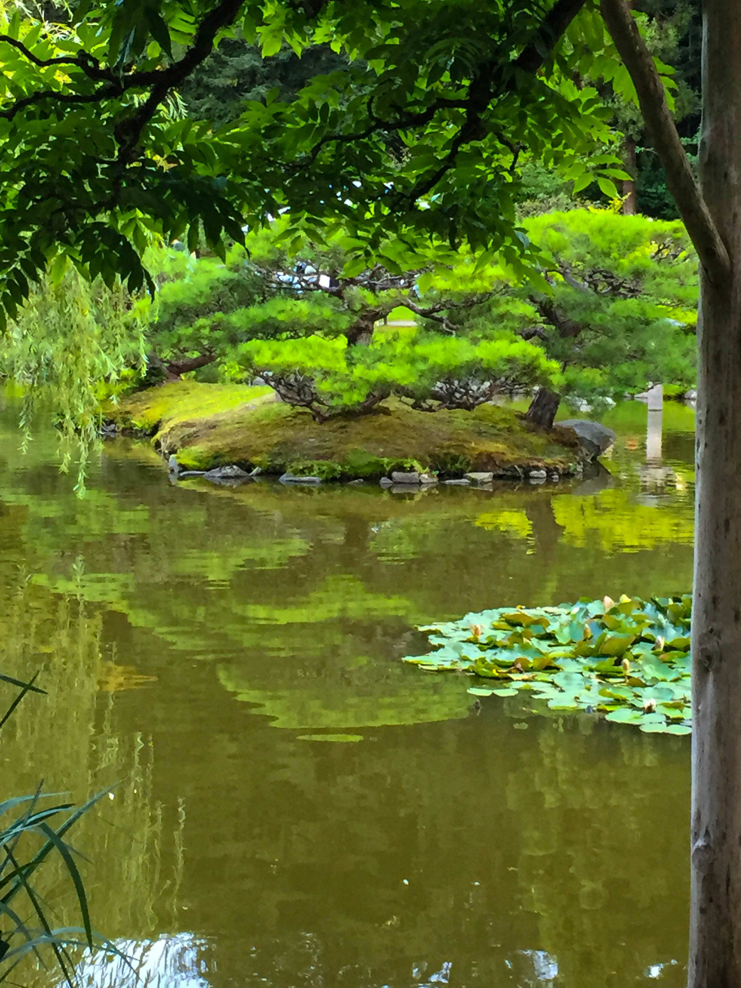 Japanese Garden Soirée C