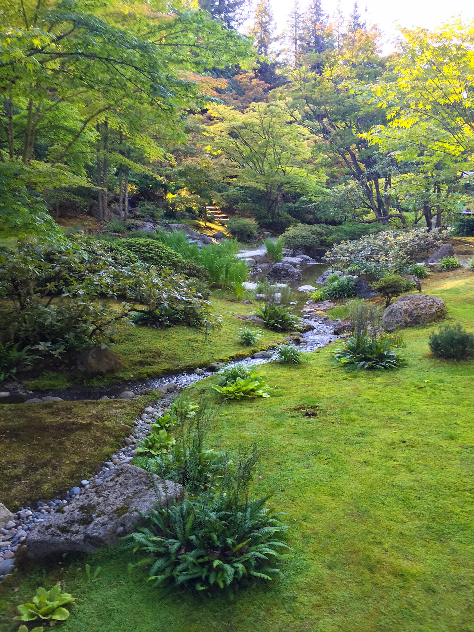 Japanese Garden Soirée K