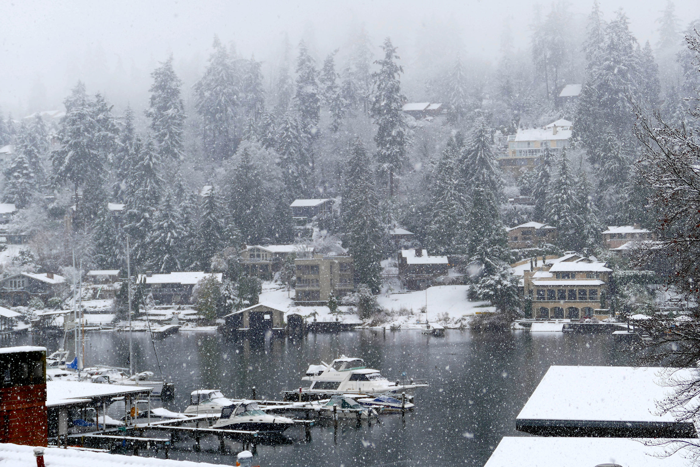 Snowing in Seattle - Katherine Chloe Cahoon F